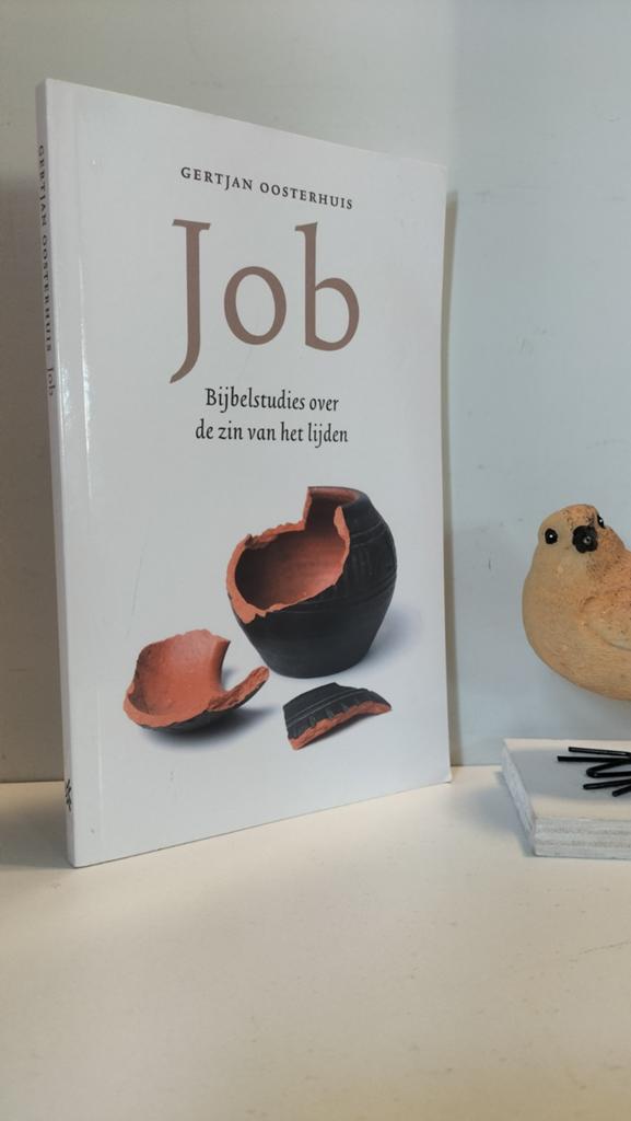 Oosterhuis, Gertjan; Job (Bijbelstudies over de zin van het, Ophalen of Verzenden, Gelezen, Christendom | Protestants