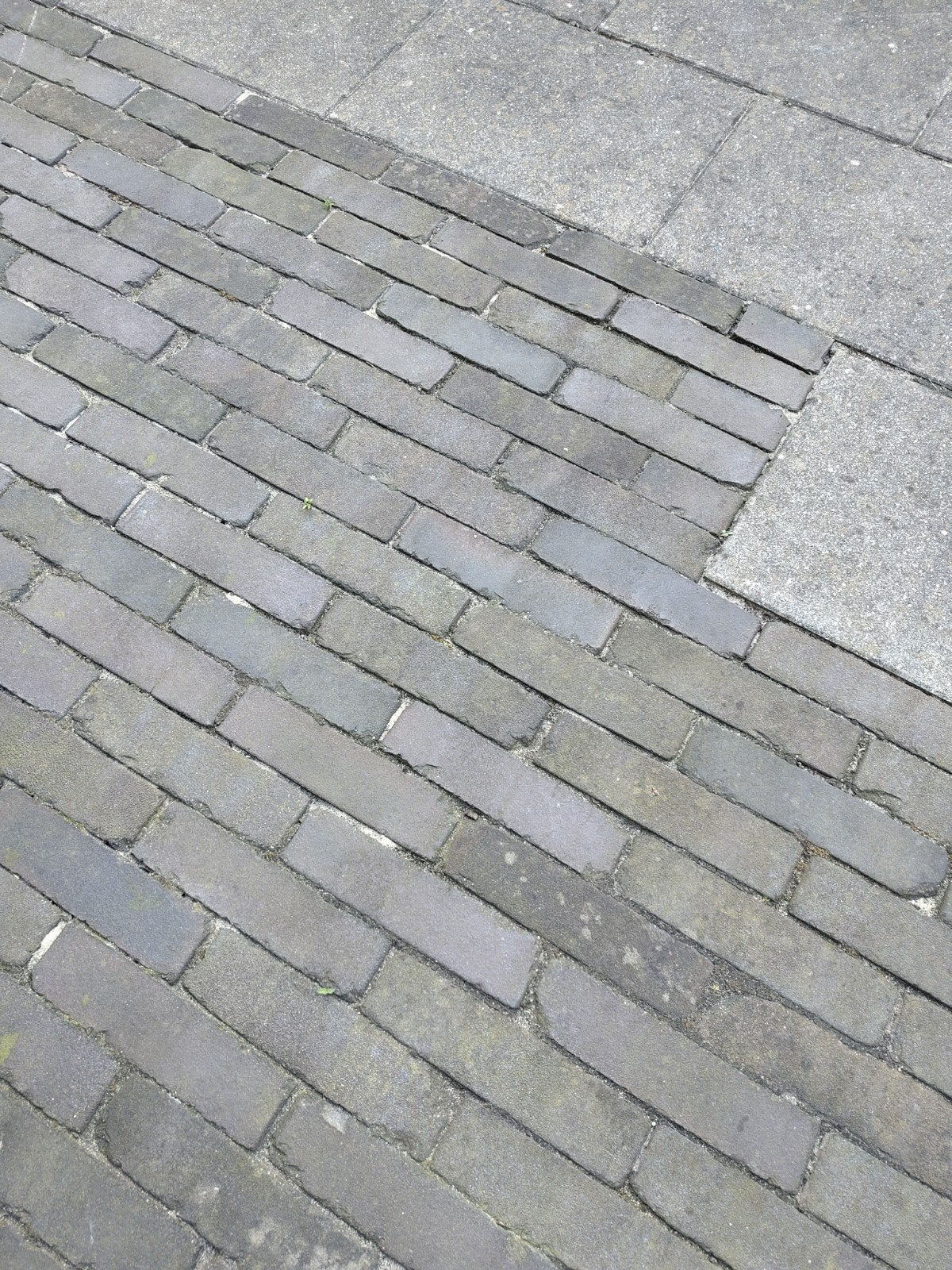 Gratis af te halen: gebakken klinkers paars/grijs-achtig, Tuin en Terras, Ophalen, Beton, Klinkers