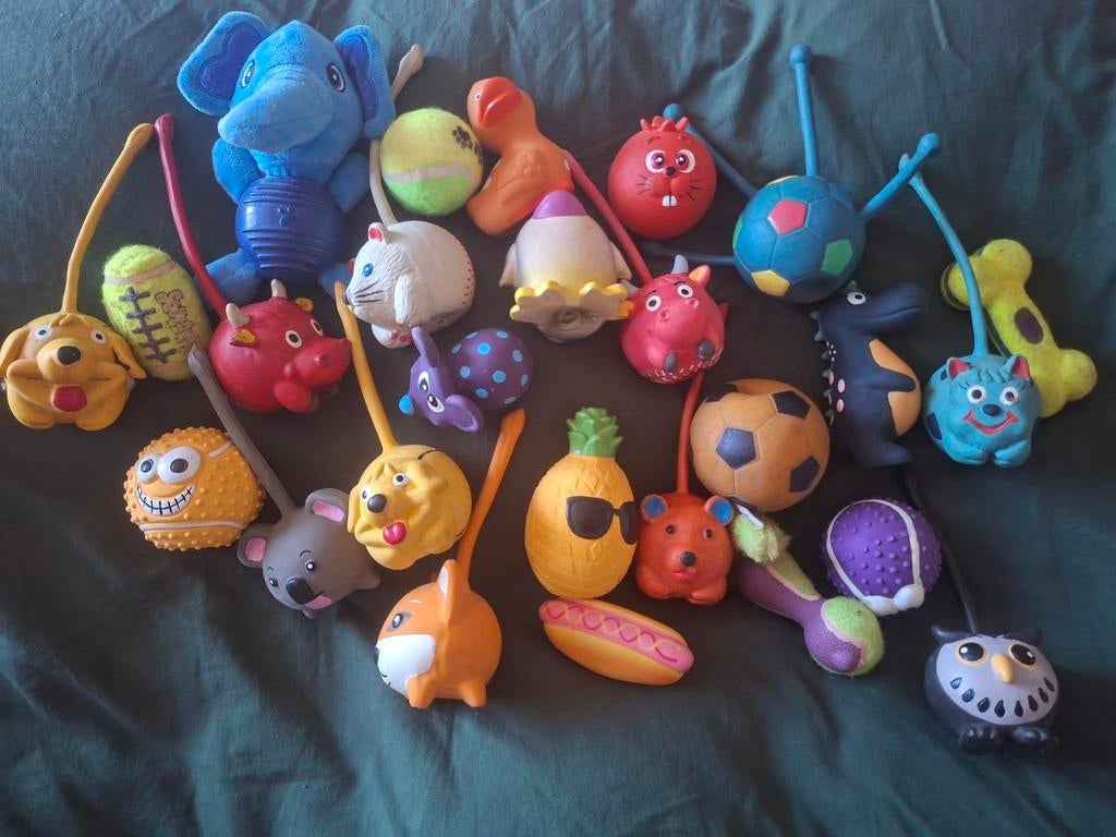 Honden speeltjes 26 stuks, Ophalen of Verzenden, Zo goed als nieuw, Intelligentiespeelgoed