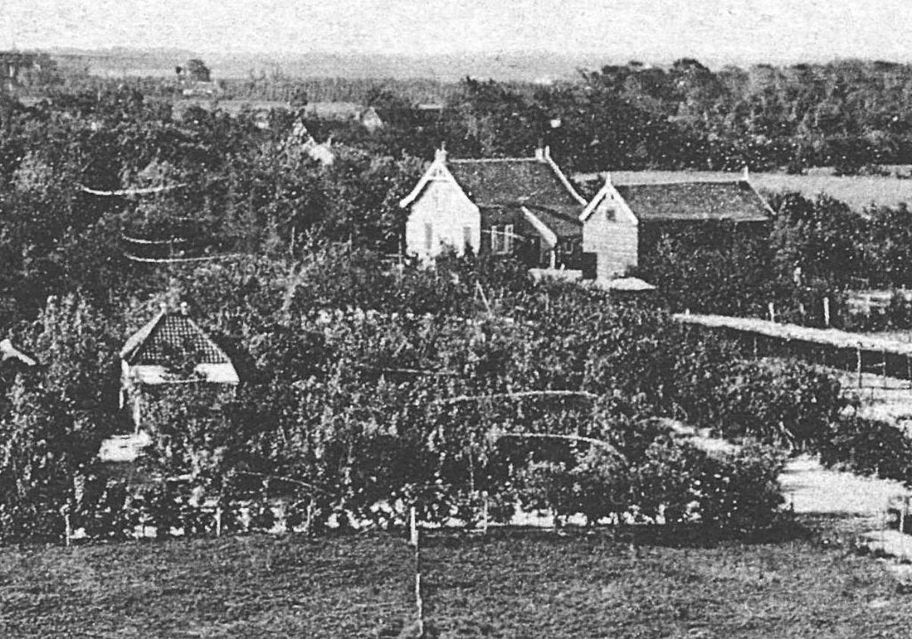 700239 Renesse Zeeland 1928 Panorama Duinstreek Gelopen, Ophalen of Verzenden, 1920 tot 1940, Gelopen, Zeeland