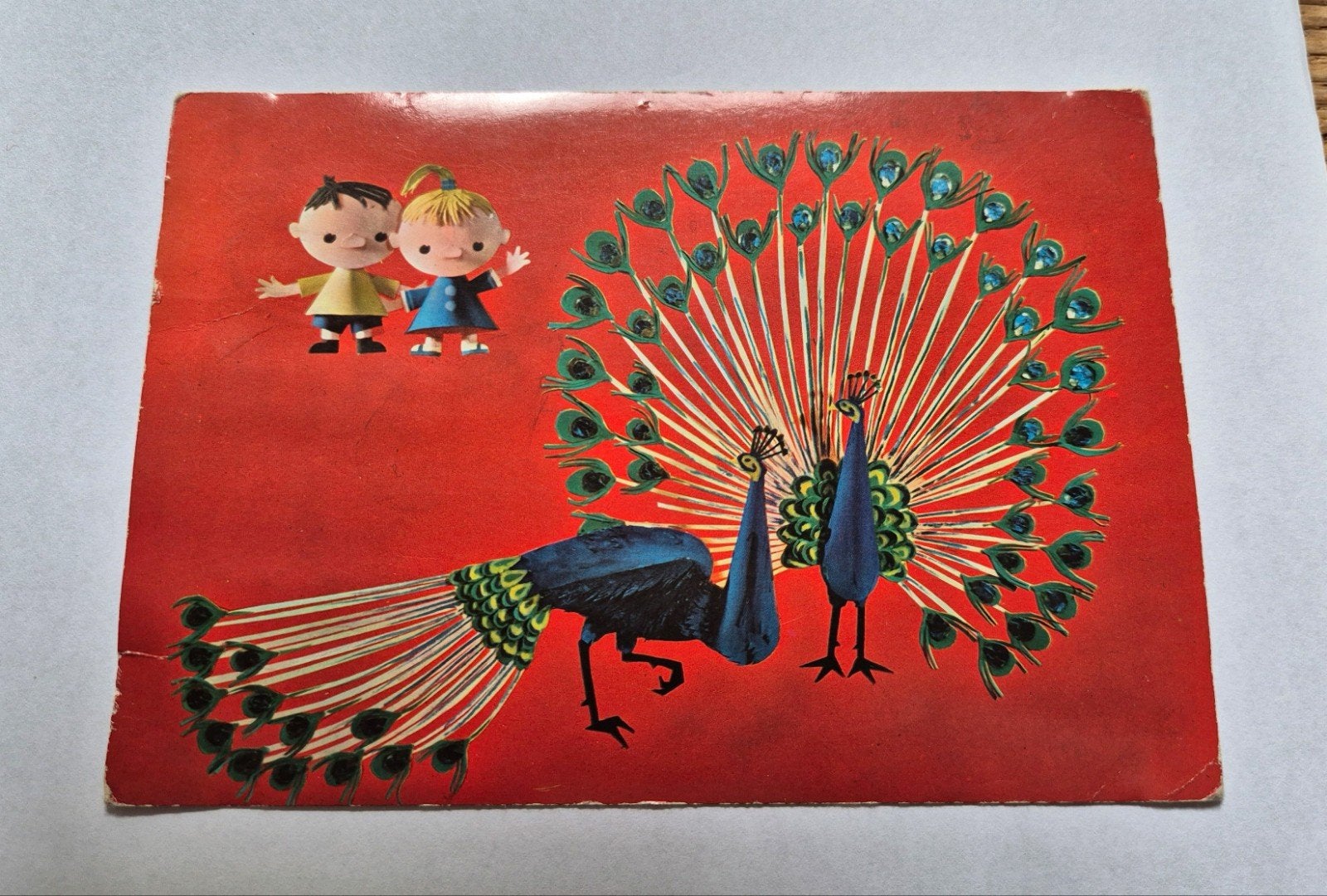 Ansichtkaart pauw, Ophalen of Verzenden, 1960 tot 1980, Gelopen, Vogel