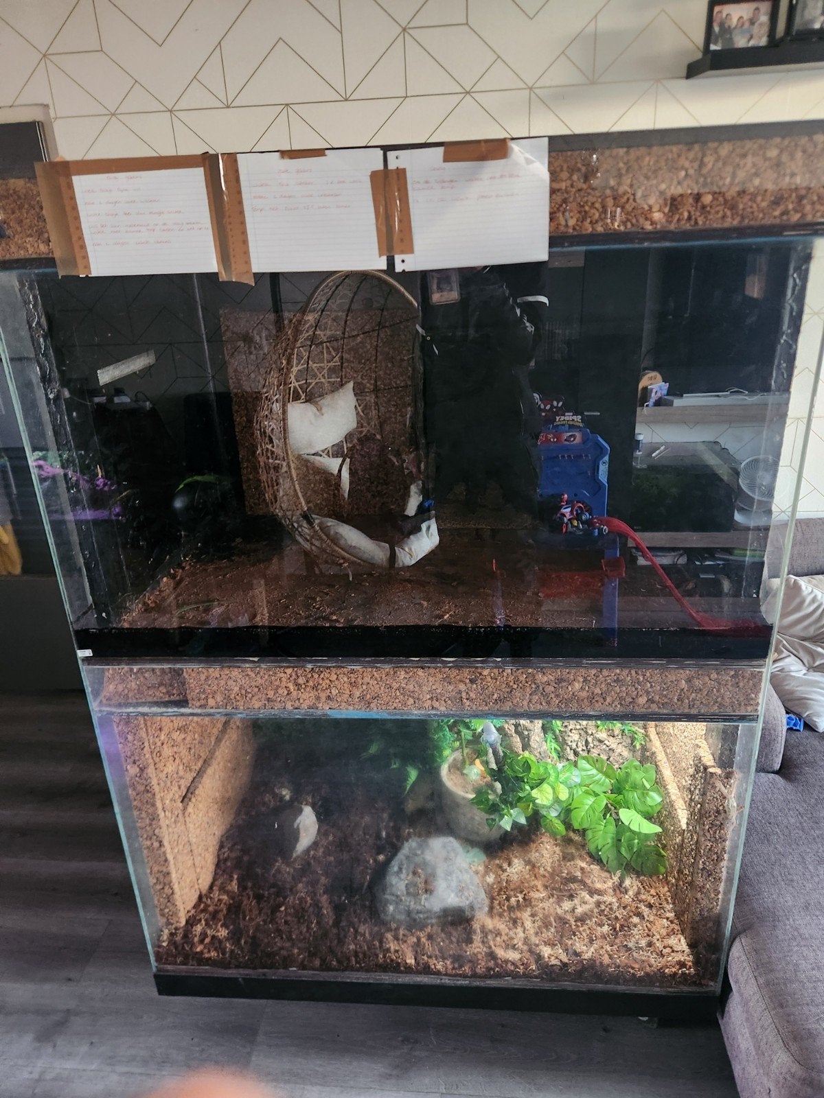 Terrarium, Ophalen