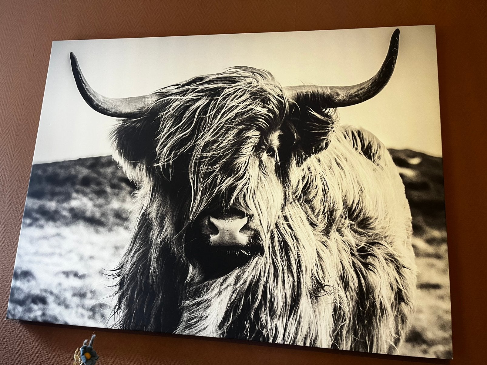 Foto op canvas, Ophalen, Zo goed als nieuw, Foto of Poster