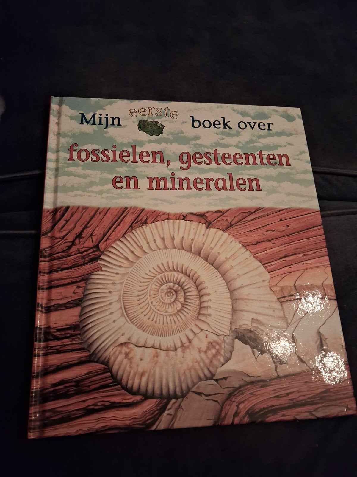 Mijn eerste boek over fossielen, gesteenten en mineralen, Boeken, Ophalen of Verzenden, Zo goed als nieuw