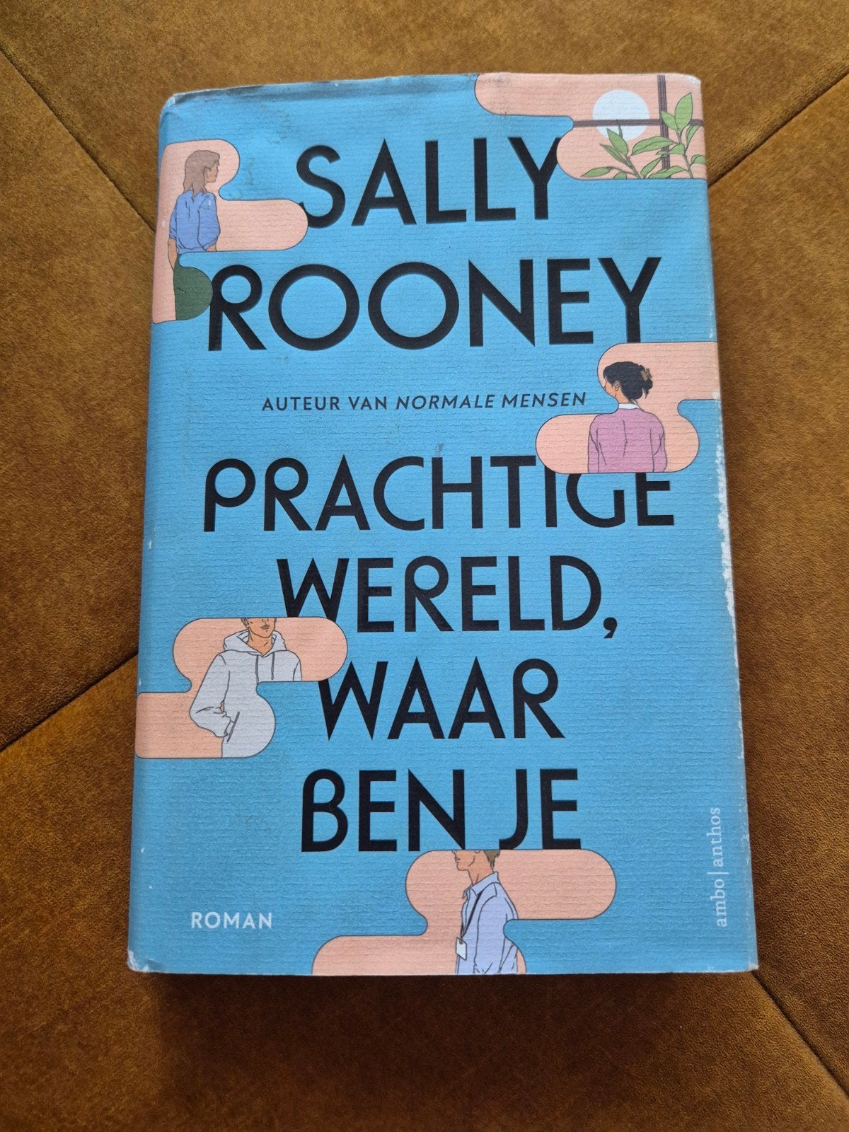 Prachtige Wereld, Waar Ben Je - Sally Rooney (Roman), Ophalen of Verzenden, Gelezen, Sally Rooney, Nederland