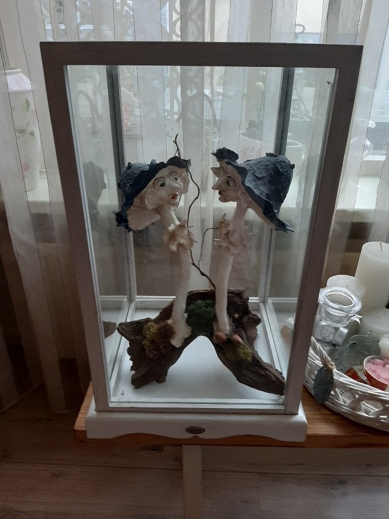 meubels kastjes/vitrine van Riverdale wit hout /glas, Ophalen