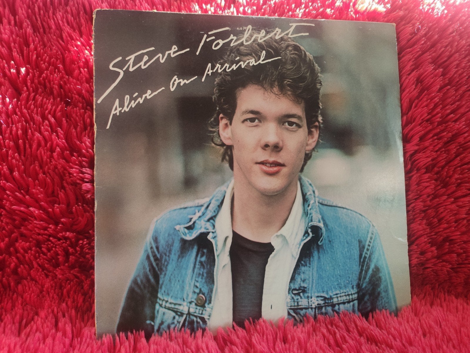 Steve Forbert – Alive on Arrival LP 1978 USA, Cd's en Dvd's, LP, Gebruikt, Ophalen of Verzenden, 12 inch