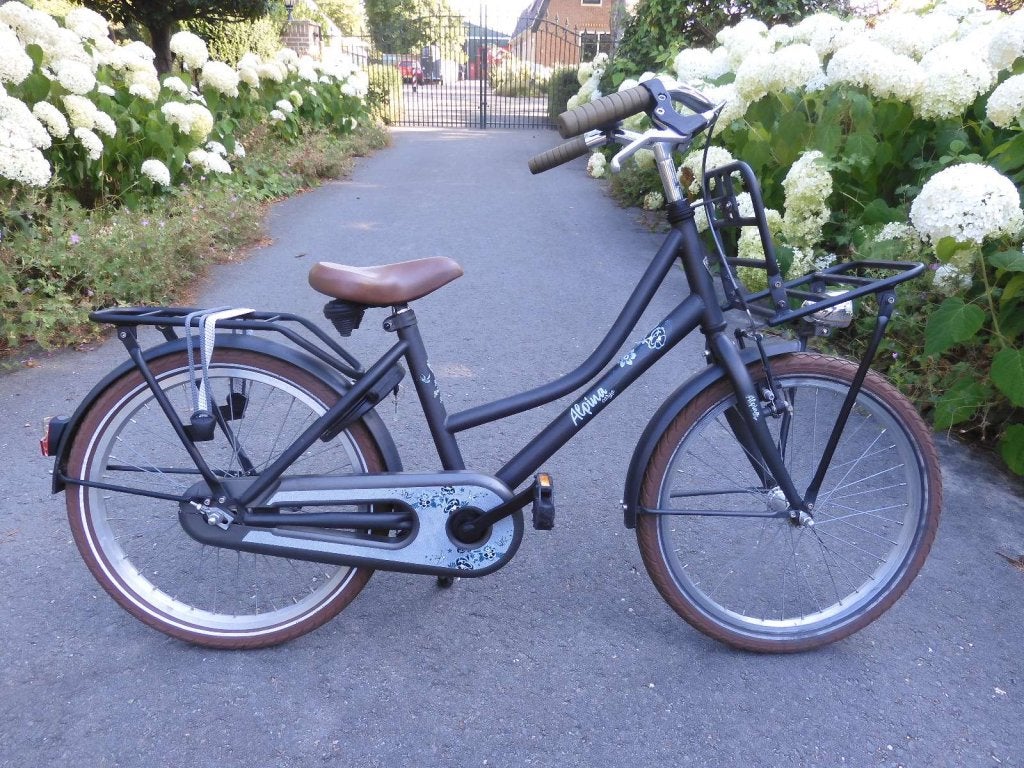 Mooie Jett Black  matt  20 inch Alpina Cargo met rekje voor, Terugtraprem, Alpina, Niet ingevuld, Zo goed als nieuw