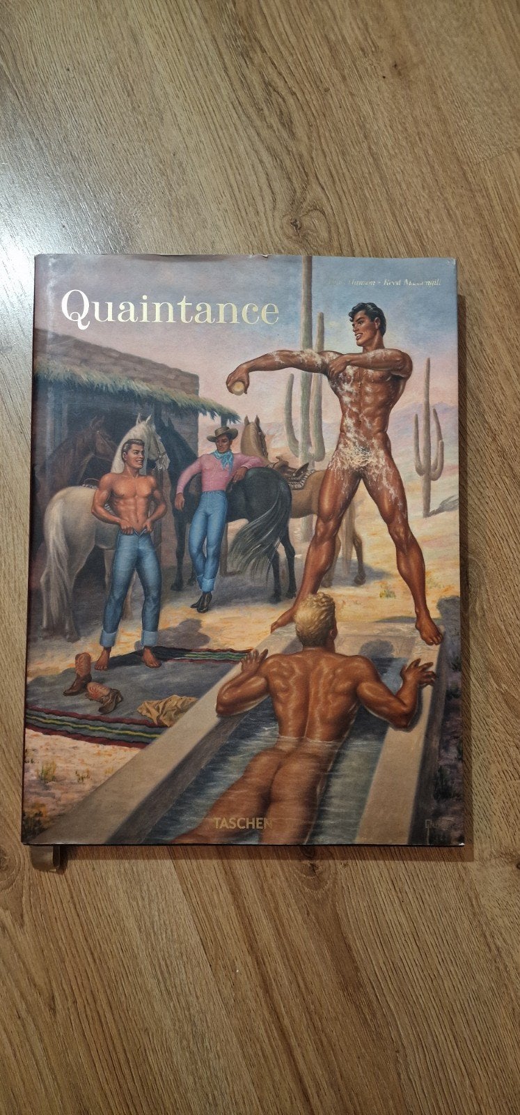 Quaintance Boek - Taschen Uitgave, Ophalen of Verzenden