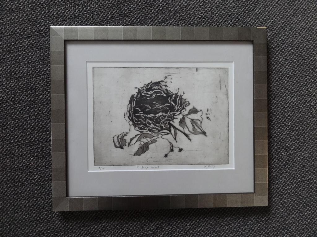 Ets met Aquatint " 't lege nest" nummer 3/12 , ingelijst, Verzenden, Flora en Fauna, Ets