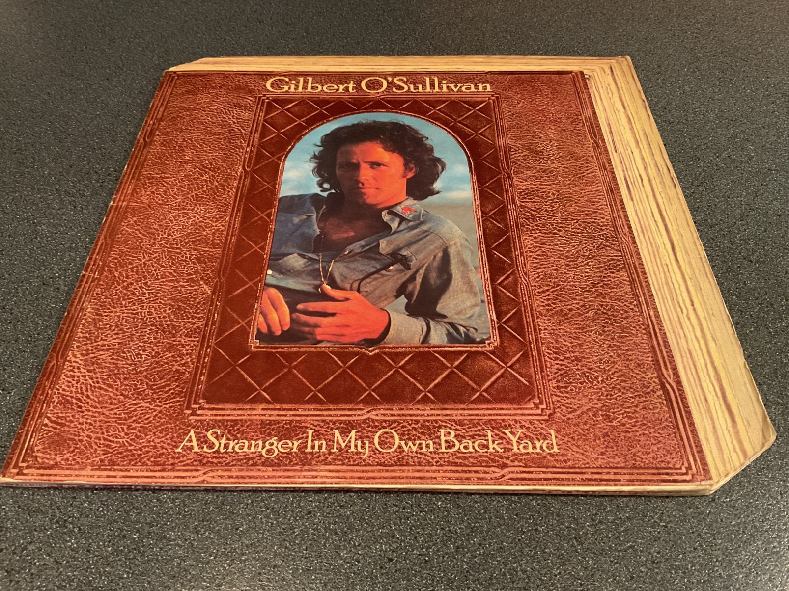 Gilbert O’Sullivan - A stranger in my own back yard Vinyl LP, Ophalen of Verzenden, Gebruikt, 12 inch