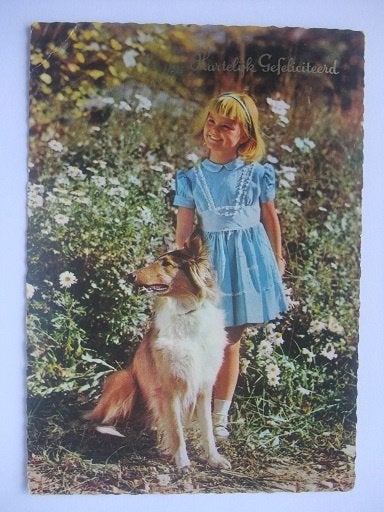 Q28 Ansichtkaarten met Lassie hond, Verzamelen, Ansichtkaarten | Themakaarten, Verzenden, 1960 tot 1980, Gelopen, Kinderen
