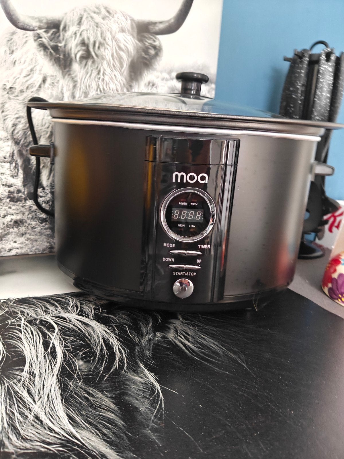MOA Slowcooker, Ophalen, Zo goed als nieuw