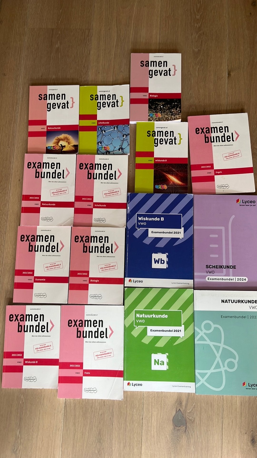 Examenbundels VWO en samengevat VWO, Boeken, Ophalen, Zo goed als nieuw, VWO, Biologie