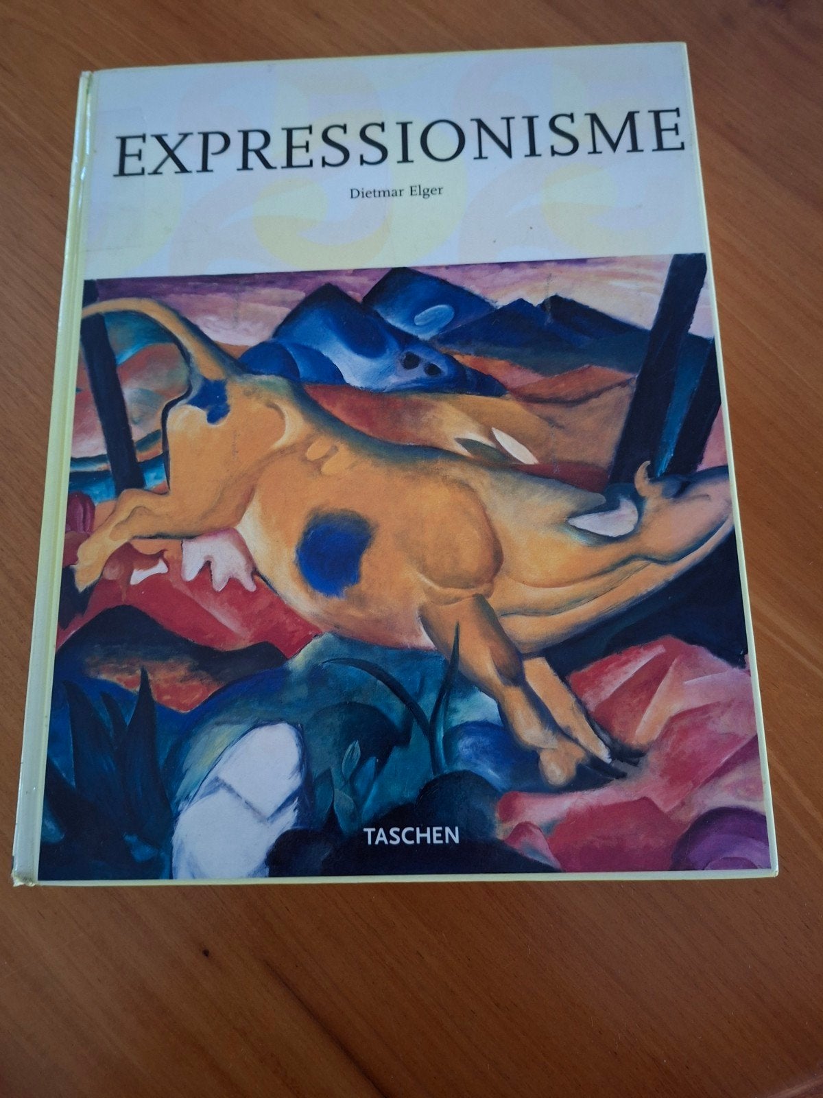 Boek Expressionisme, 255 pag, bibliotheekboek geweest, Boeken, Gelezen, Ophalen of Verzenden, Dietmar Elger, Schilder- en Tekenkunst