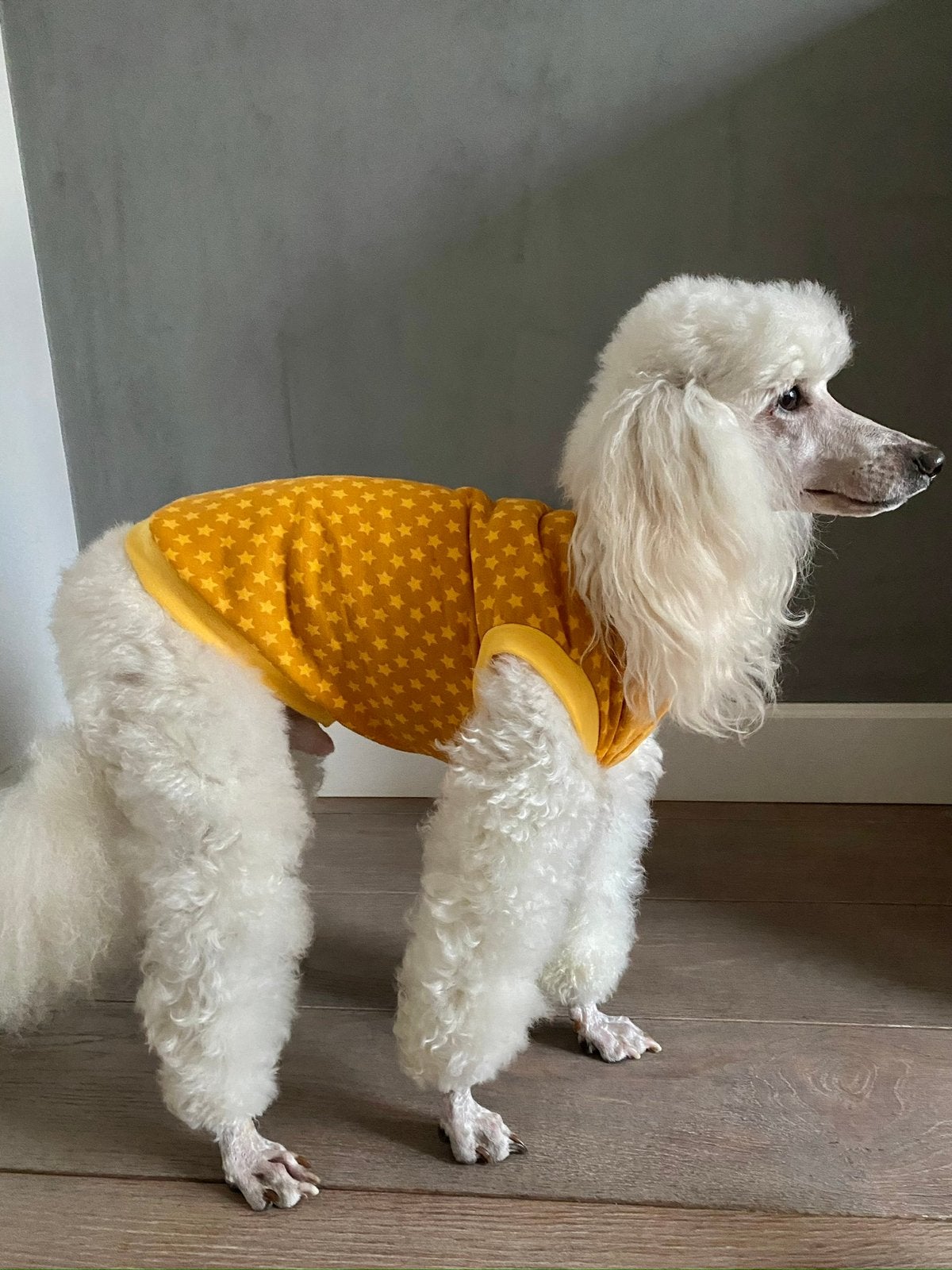 HANDMADE Hondentrui Chihuahua Poedel Pom York Teckel Boomer, Dieren en Toebehoren, Ophalen of Verzenden, Nieuw, Hondentrui, Elastische pasvorm