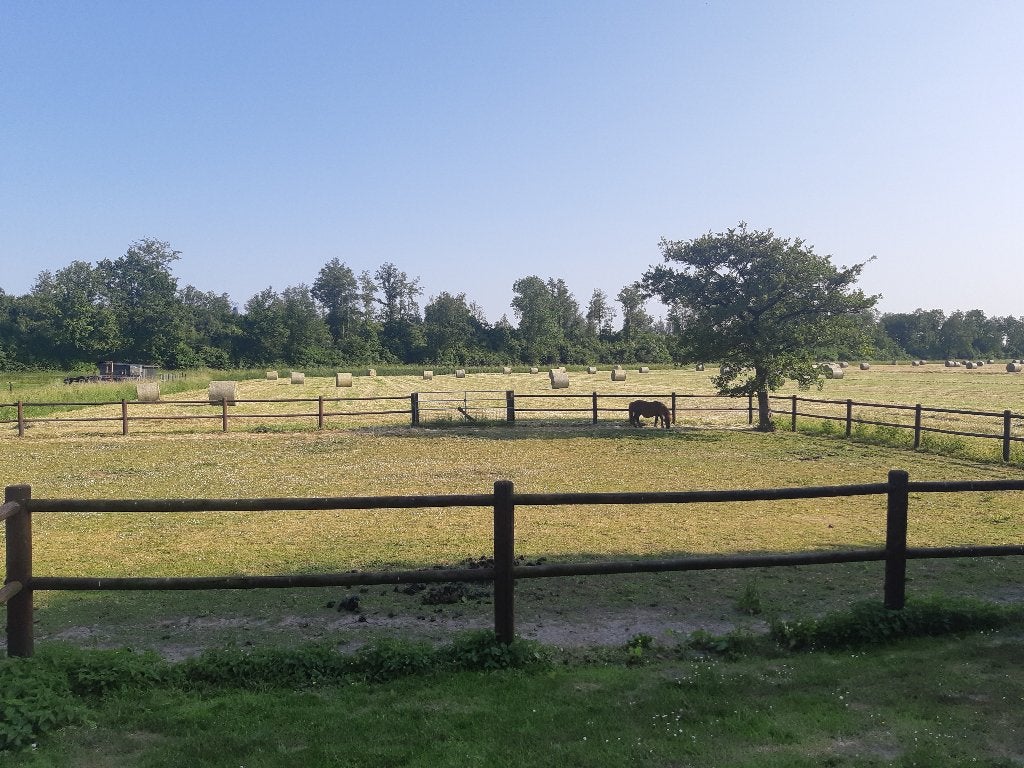 Oppas gezocht voor huis, Oppas