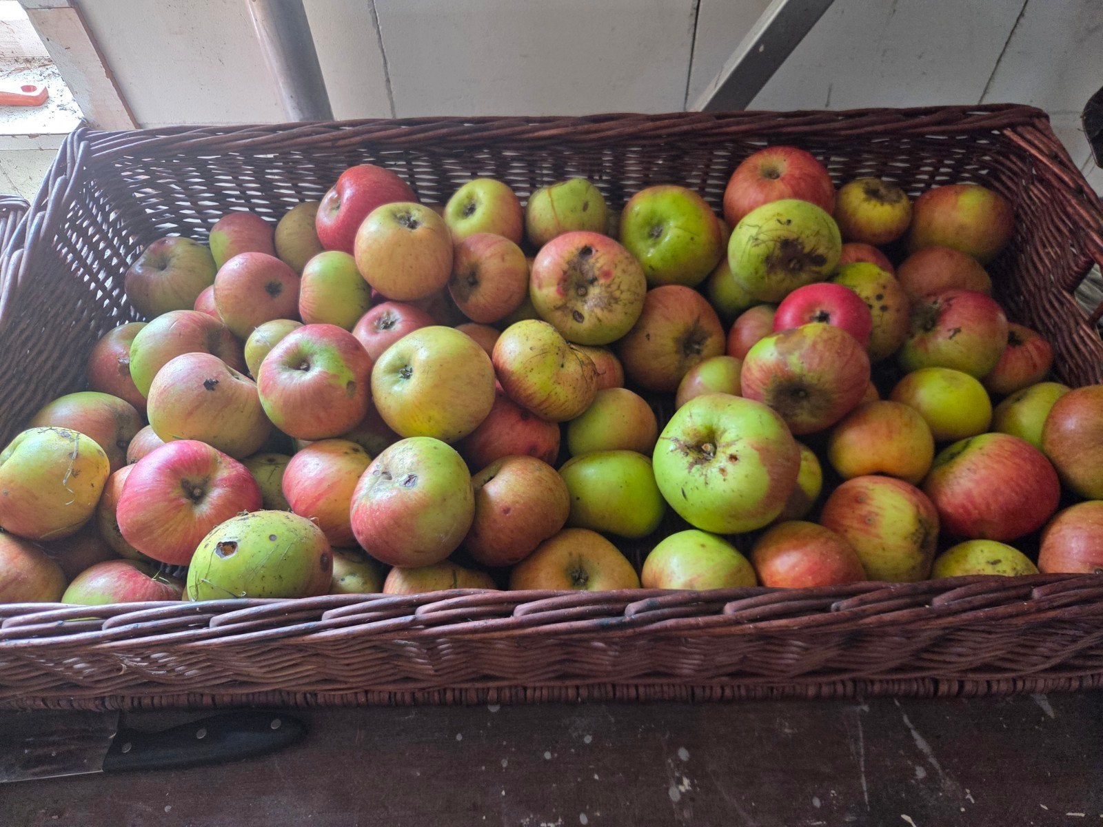 appels uit eigen boomgaard onbespoten biologisch, Ophalen of Verzenden