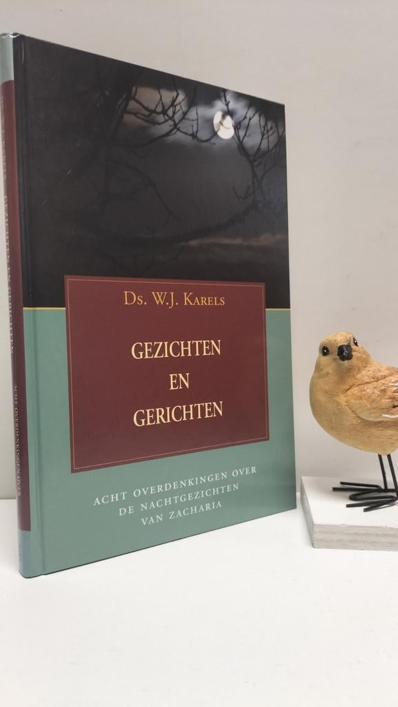 Karels, Ds. W.J.; Gezichten en gerichten, Boeken, Ophalen of Verzenden, Gelezen, Christendom | Protestants
