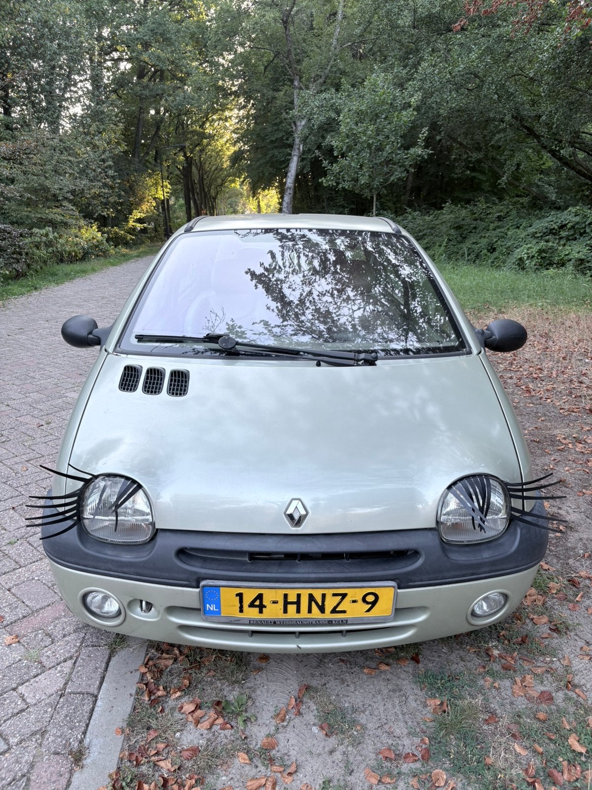 Renault Twingo 1.2 2000 Groen, Voorwielaandrijving, 600 kg, 4 cilinders, Leder