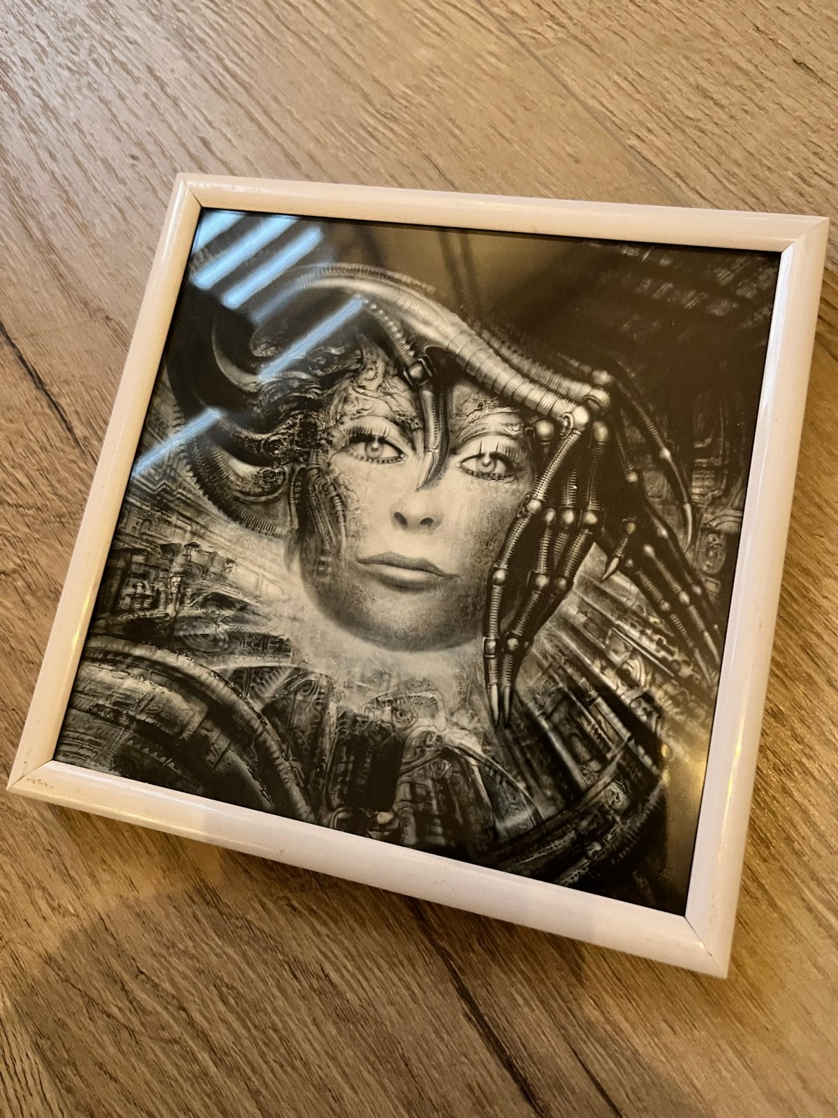 HR Giger print in lijstje ca 15 x 15 cm, Verzenden, Print, Print/reproductie, Achter glas