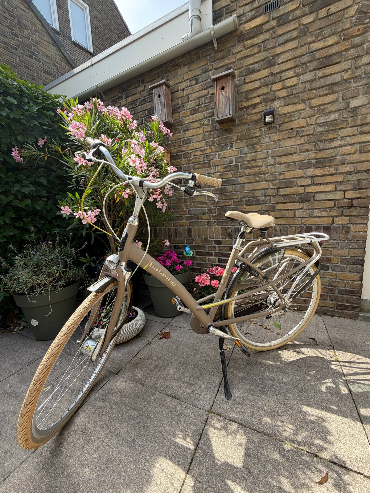 Batavus fiets dames, Ophalen, Gebruikt, Versnellingen, Batavus