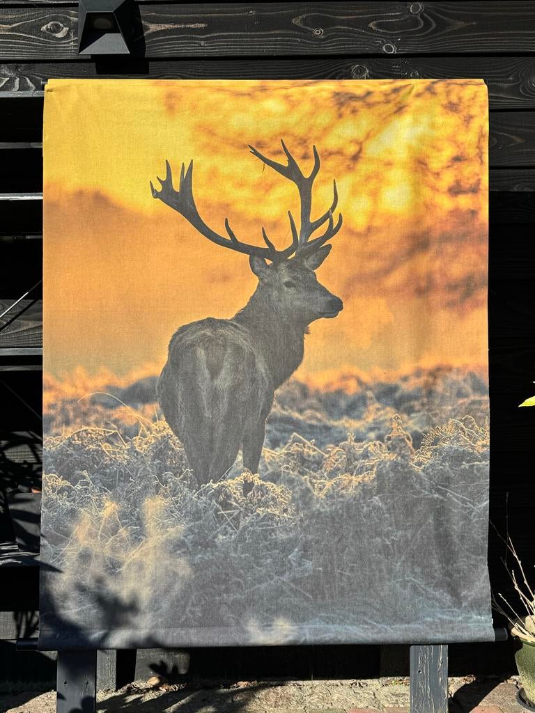 Hert op canvas doek - Wanddecoratie, Ophalen, Gebruikt