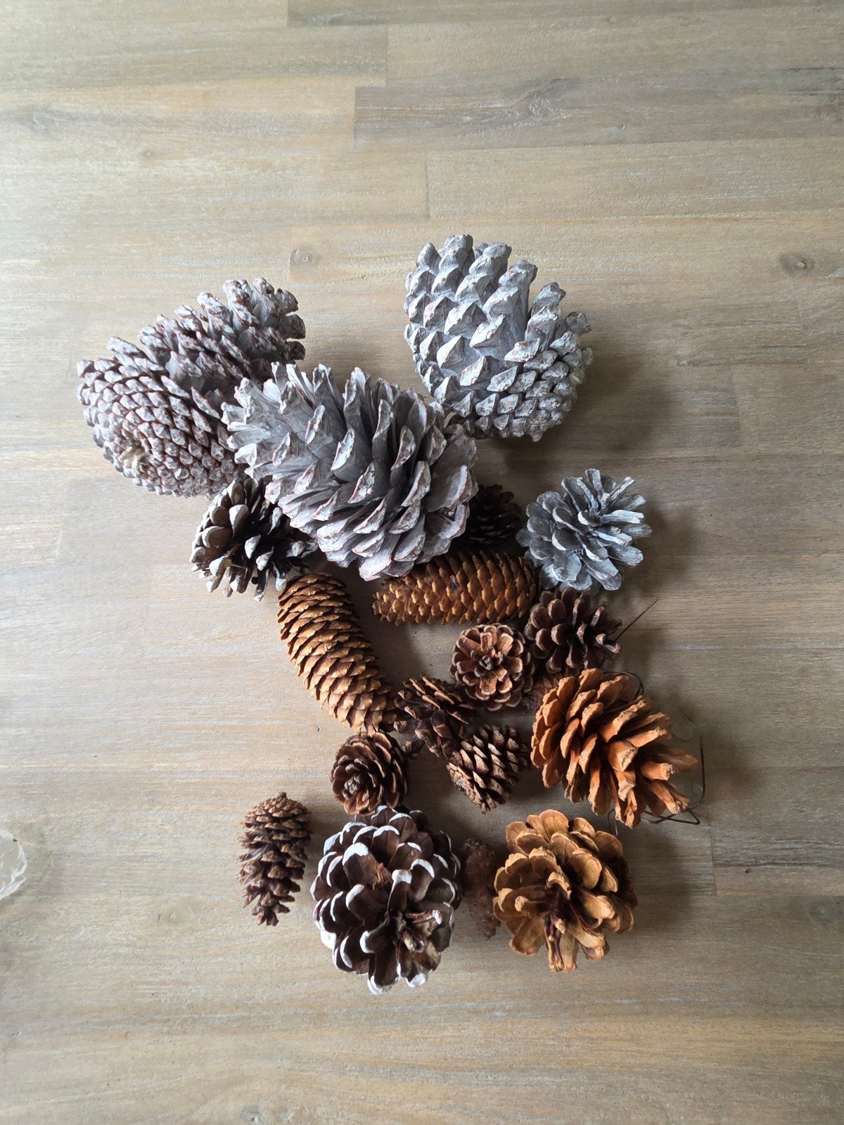 Dennenappels, Ophalen, Overige typen, Natuurlijk materiaal