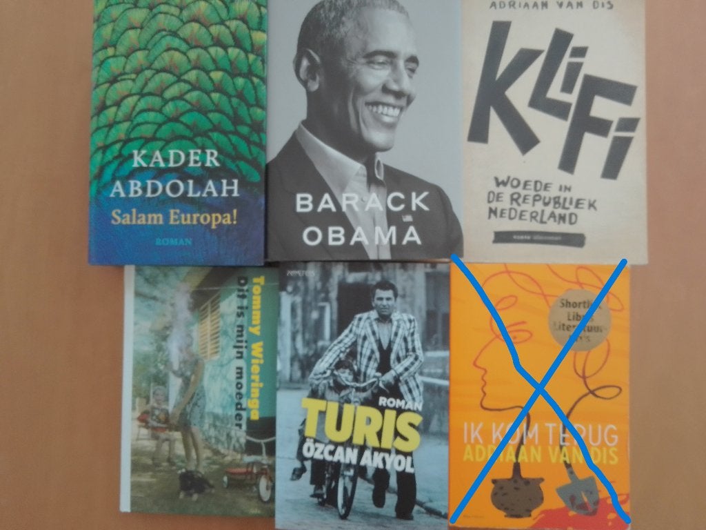 Grote Nederlandse literatuur collectie, Boeken, Ophalen of Verzenden, Zo goed als nieuw, Nederland
