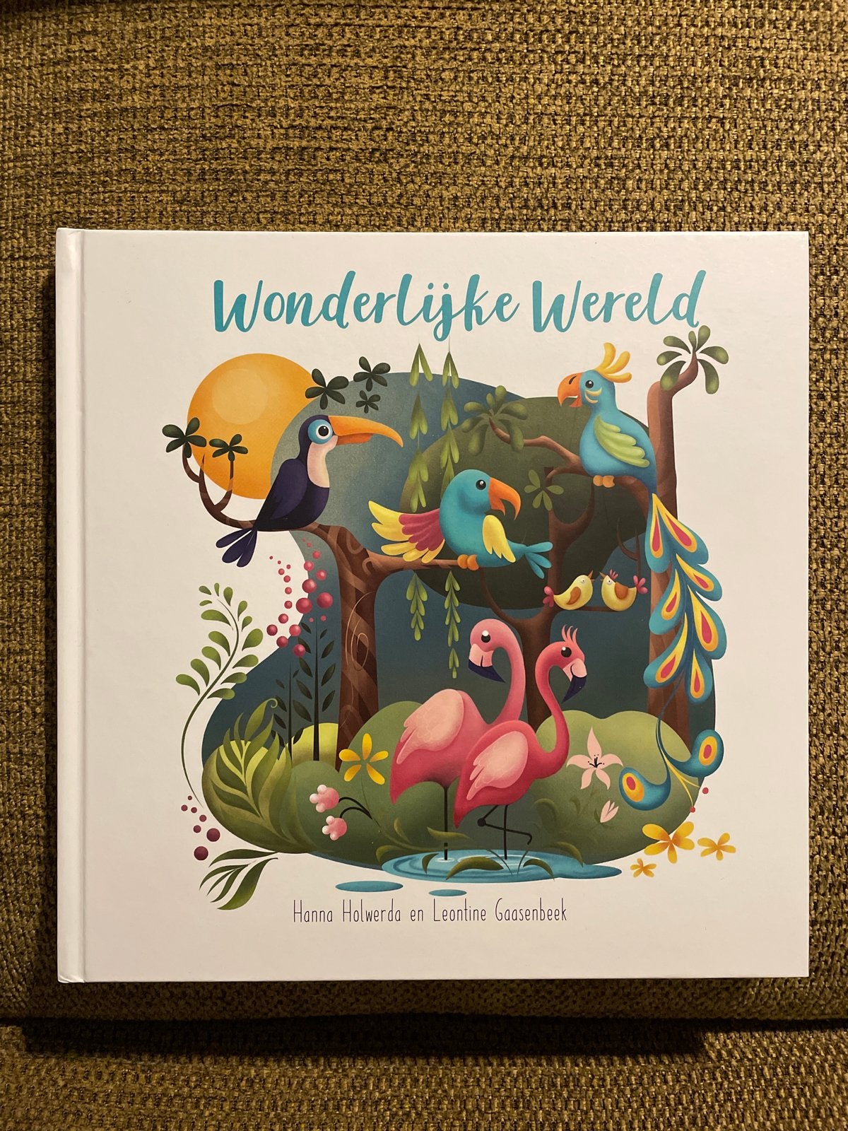 Wonderlijke Wereld - Hanna Holwerda & Leontine Gaasenbeek, Ophalen of Verzenden, Zo goed als nieuw, 2 tot 3 jaar