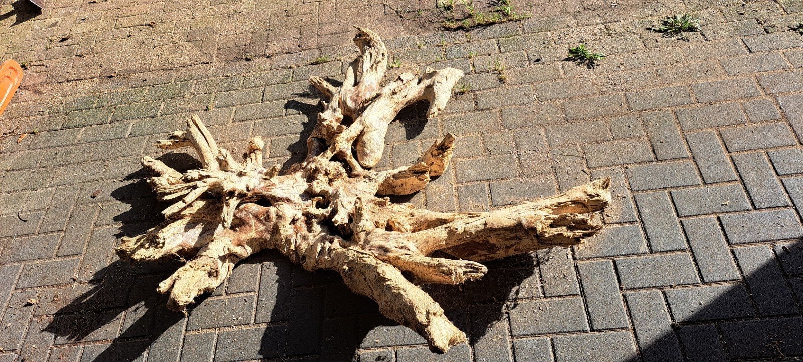 Groot decoratief kunstwerk van drijfhout - 160x120cm, Ophalen, Gebruikt, Overige stijlen, Natuurlijk materiaal