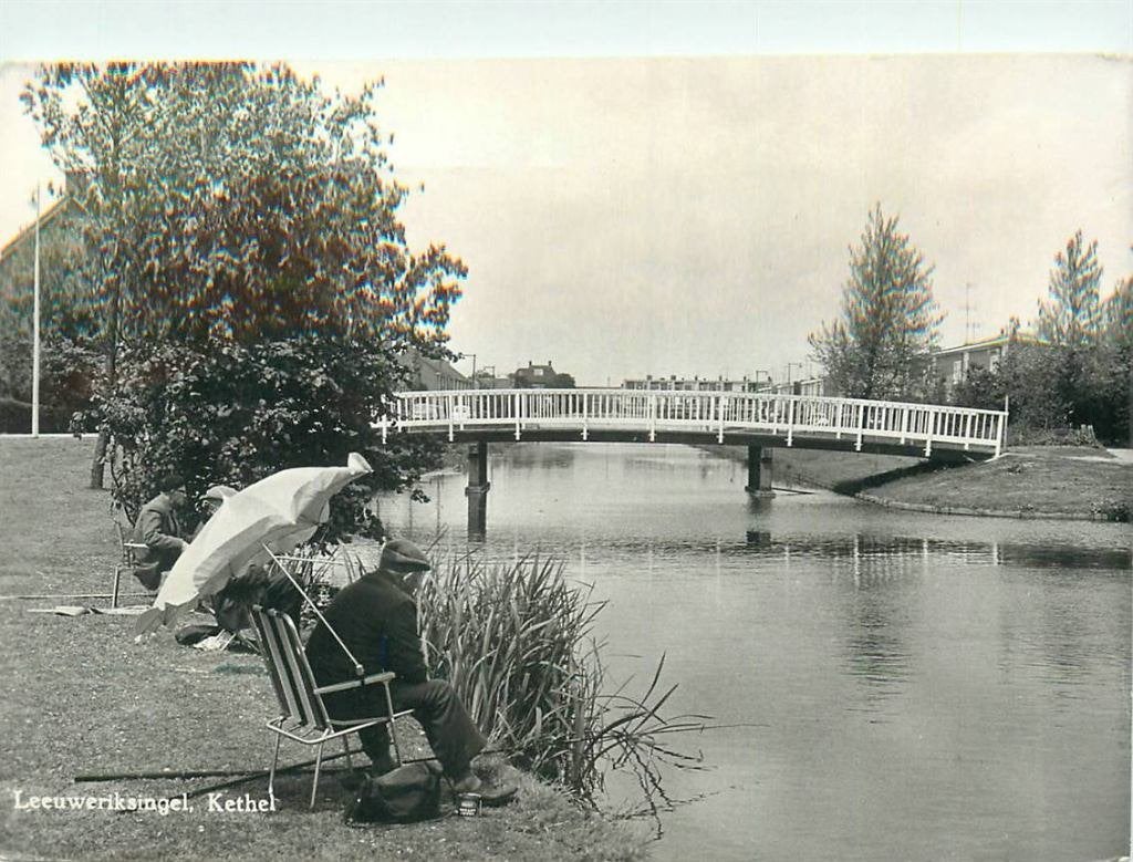 388-508-037 Schiedam Leeuweriksingel Kethel, Verzenden, Voor 1920, Zuid-Holland