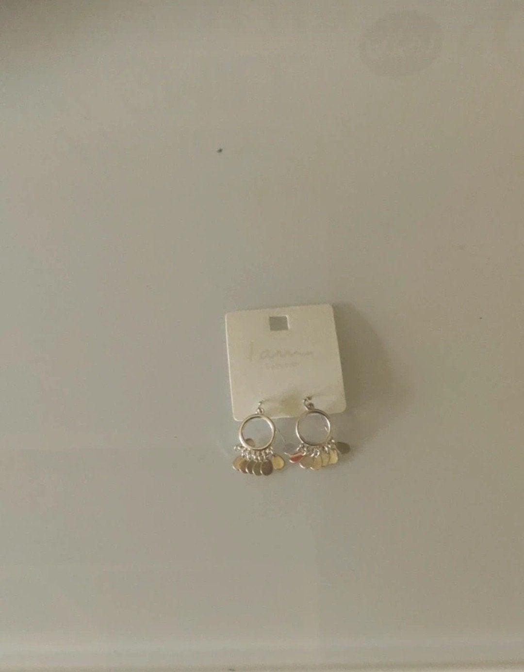 Nieuwe zilverkleurige oorhangers met muntjes, Ophalen of Verzenden, Nieuw, Overige materialen, Hangers