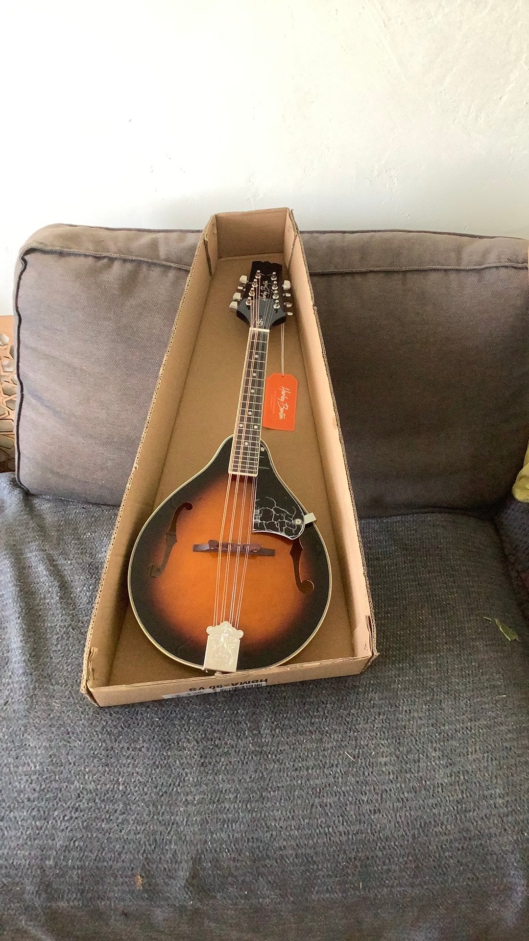 Harley Benton Mandoline nieuw in doos, Muziek en Instrumenten, Snaarinstrumenten | Mandolines, Ophalen of Verzenden, Nieuw