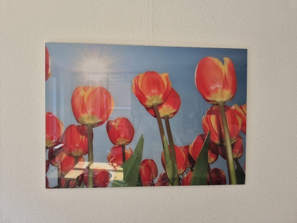 Schilderij met tulpen, Ophalen, 50 – 75, Zo goed als nieuw, Schilderij