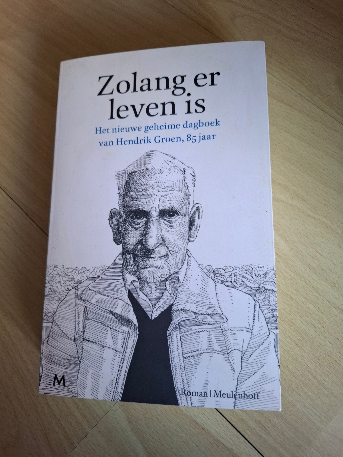 Hendrik Groen Zolang er leven is, Ophalen of Verzenden, Zo goed als nieuw