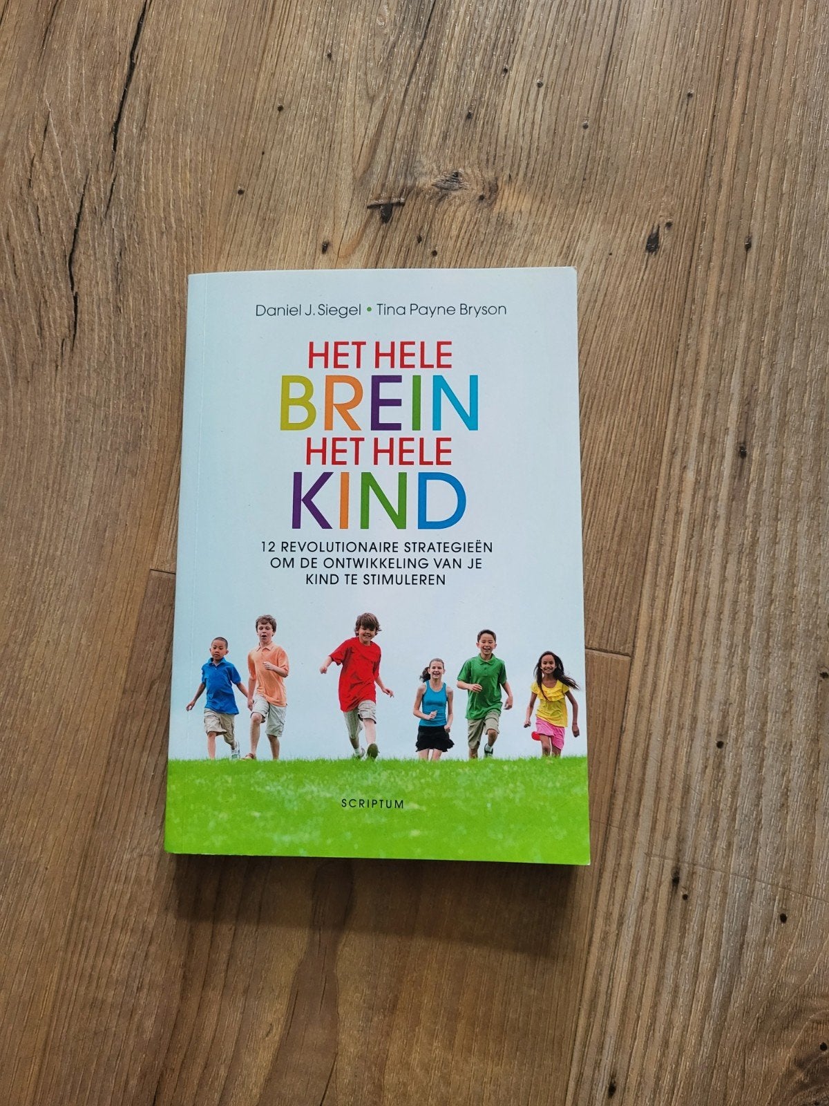 Tina Payne Bryson - Het hele brein, het hele kind, Tina Payne Bryson; Daniel J. Siegel, Ophalen of Verzenden, Ontwikkelingspsychologie