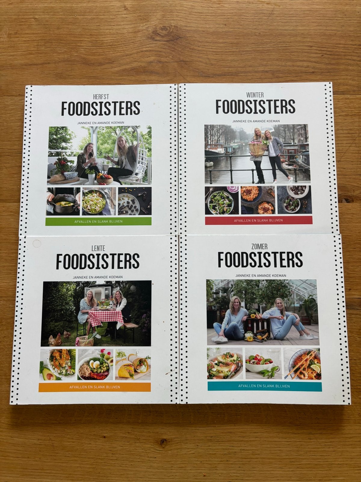 Foodsisters Afvallen en Slank Blijven - 4 seizoensboeken, Boeken, Kookboeken, Ophalen, Zo goed als nieuw, Gezond koken