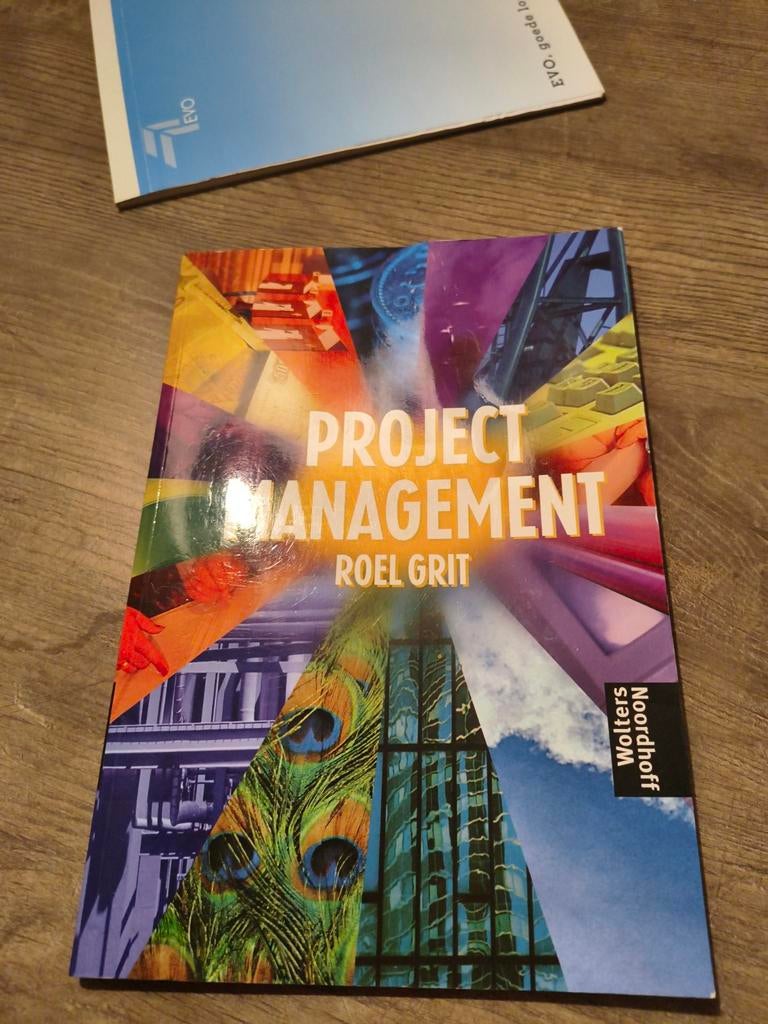 R. Grit - Projectmanagement, R. Grit, Ophalen of Verzenden, Zo goed als nieuw, Nederlands