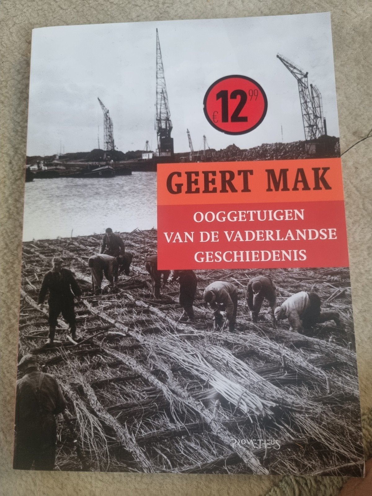 Geert Mak - Ooggetuigen van de vaderlandse geschiedenis, Ophalen of Verzenden, Nieuw, Geert Mak