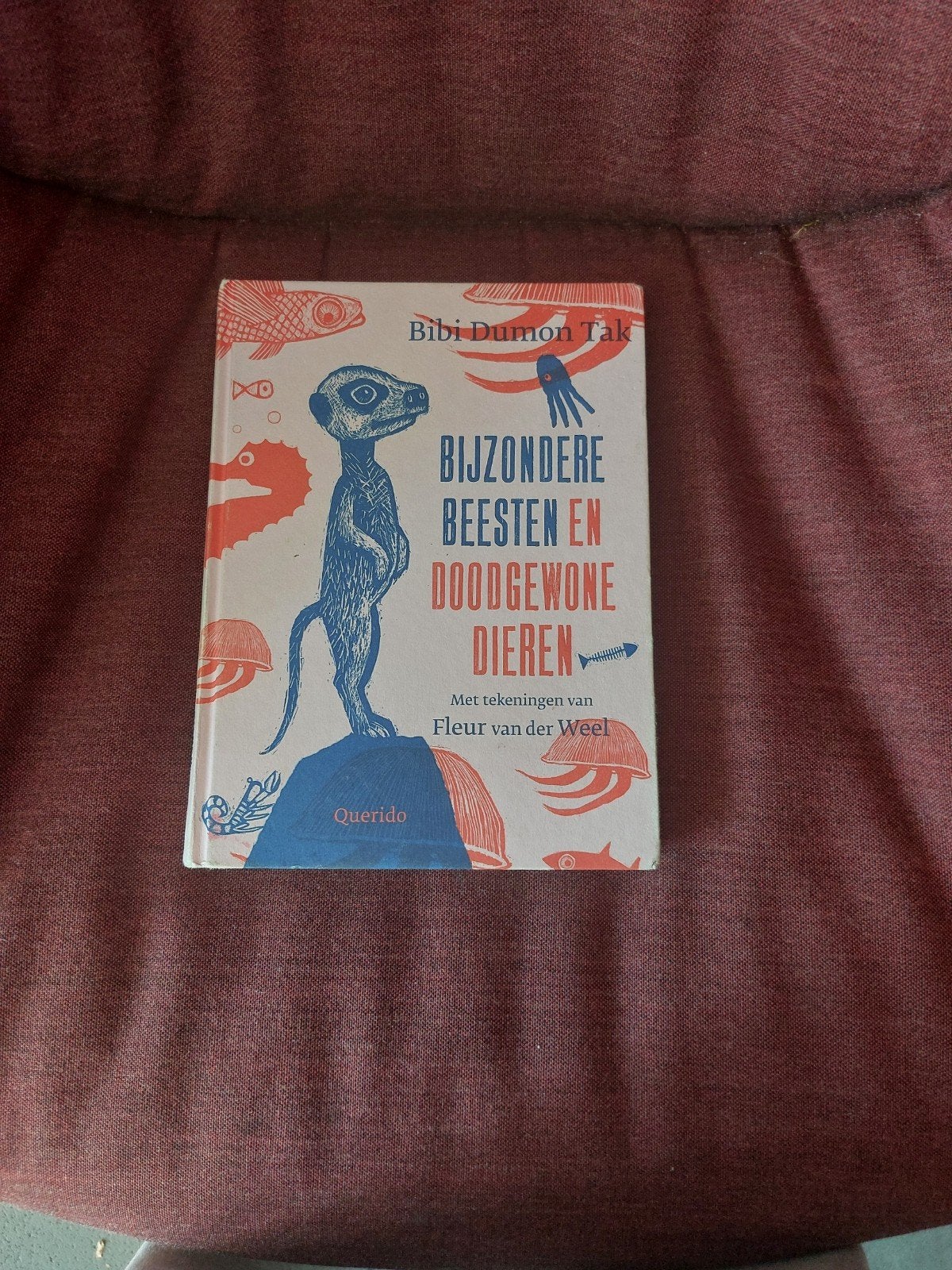 Bijzondere Beesten en Doodgewone Dieren - Bibi Dumon Tak, Ophalen, Zo goed als nieuw, Bibi Dumon Tak