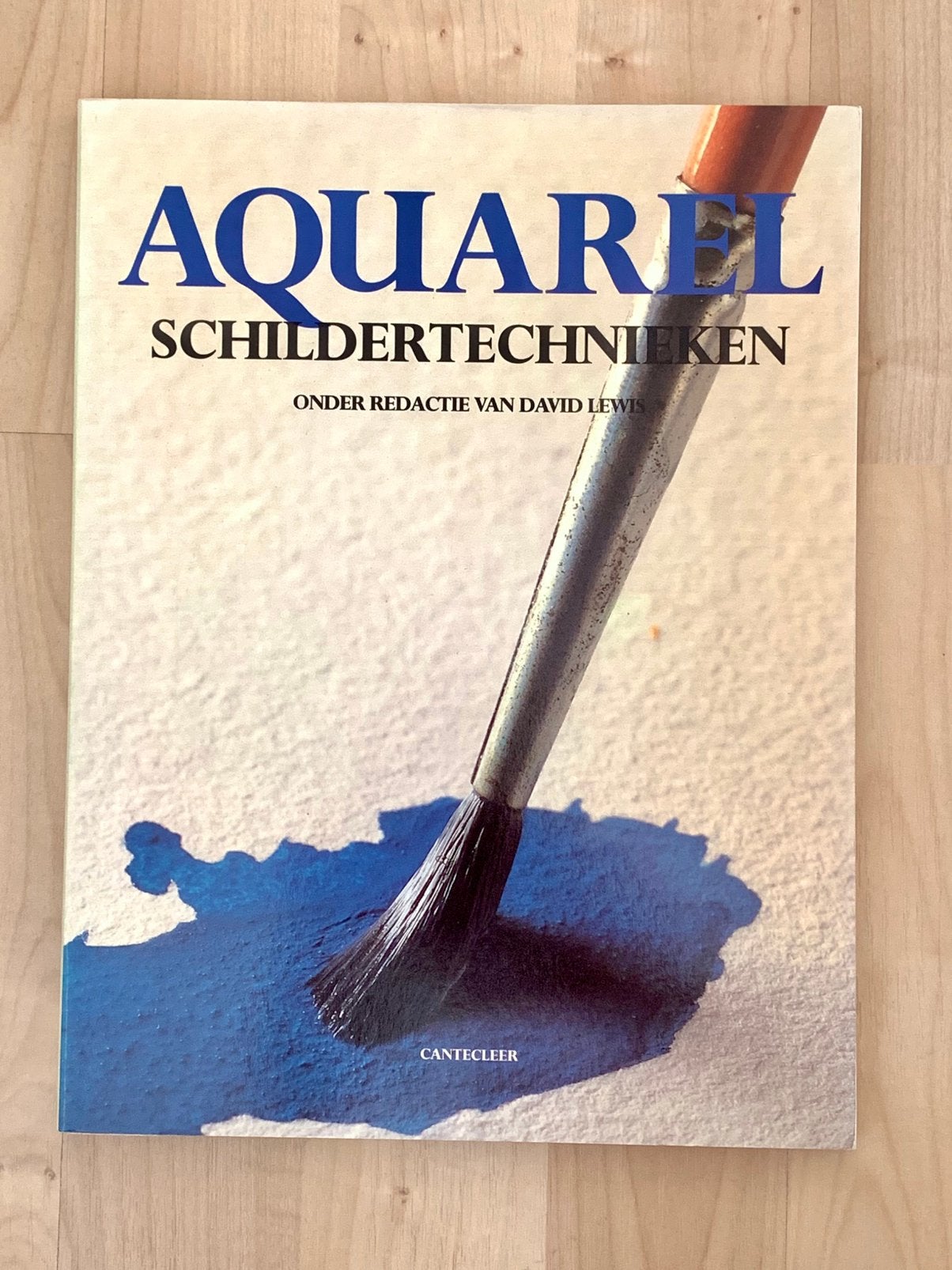 Aquarel schildertechnieken, Ophalen, Zo goed als nieuw, Overige onderwerpen
