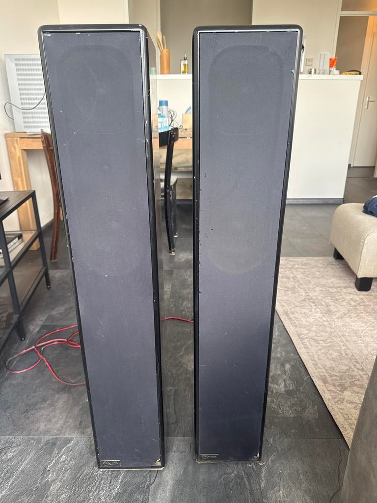 Elipson vloerstaande luidsprekers - Set van 2, Audio, Tv en Foto, Luidsprekers, Ophalen of Verzenden, Zo goed als nieuw, Front, Rear of Stereo speakers