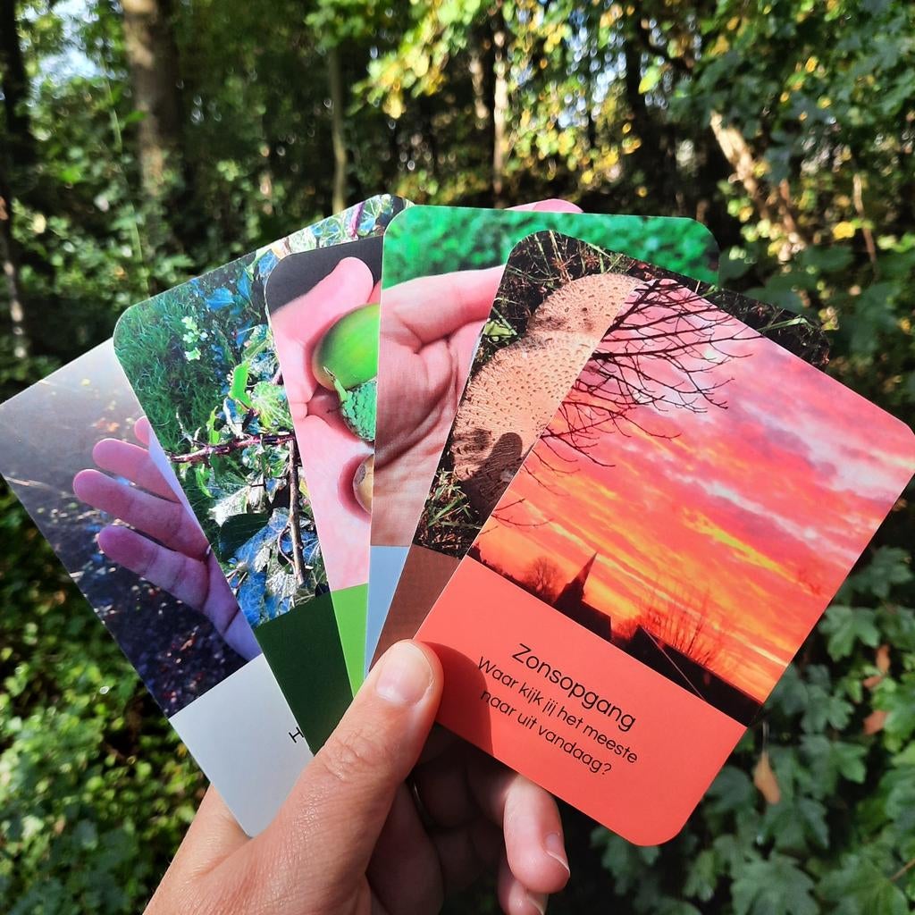 Aardekracht Orakel van Geeske Hogenhuis, Tarot of Kaarten leggen, Overige typen, Nieuw, Ophalen of Verzenden
