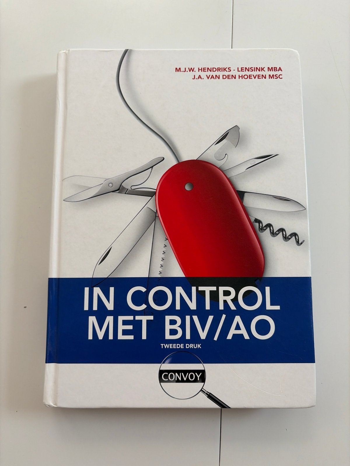 In Control met BIV/AO - Tweede Druk, Ophalen of Verzenden, Gamma, Zo goed als nieuw, HBO