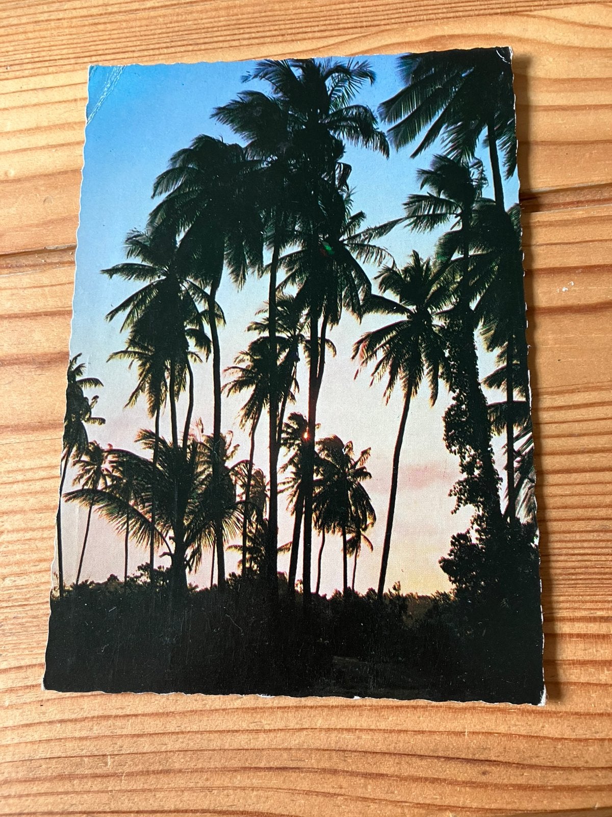Ansichtkaart Suriname, weg naar zee, Verzamelen, Ophalen of Verzenden