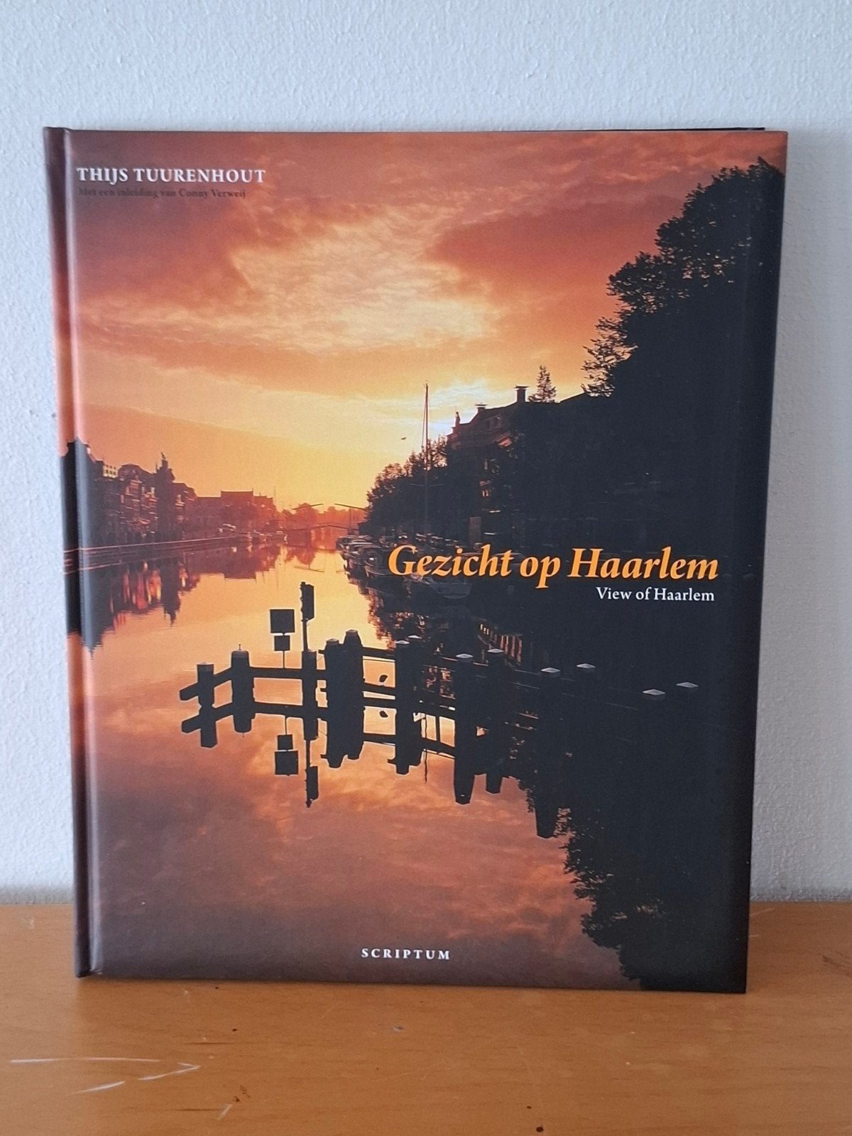 Gezicht op Haarlem - Thijs Tuurenhout (Als nieuw), Boeken, Ophalen of Verzenden, 20e eeuw of later, Zo goed als nieuw, Thijs Tuurenhout