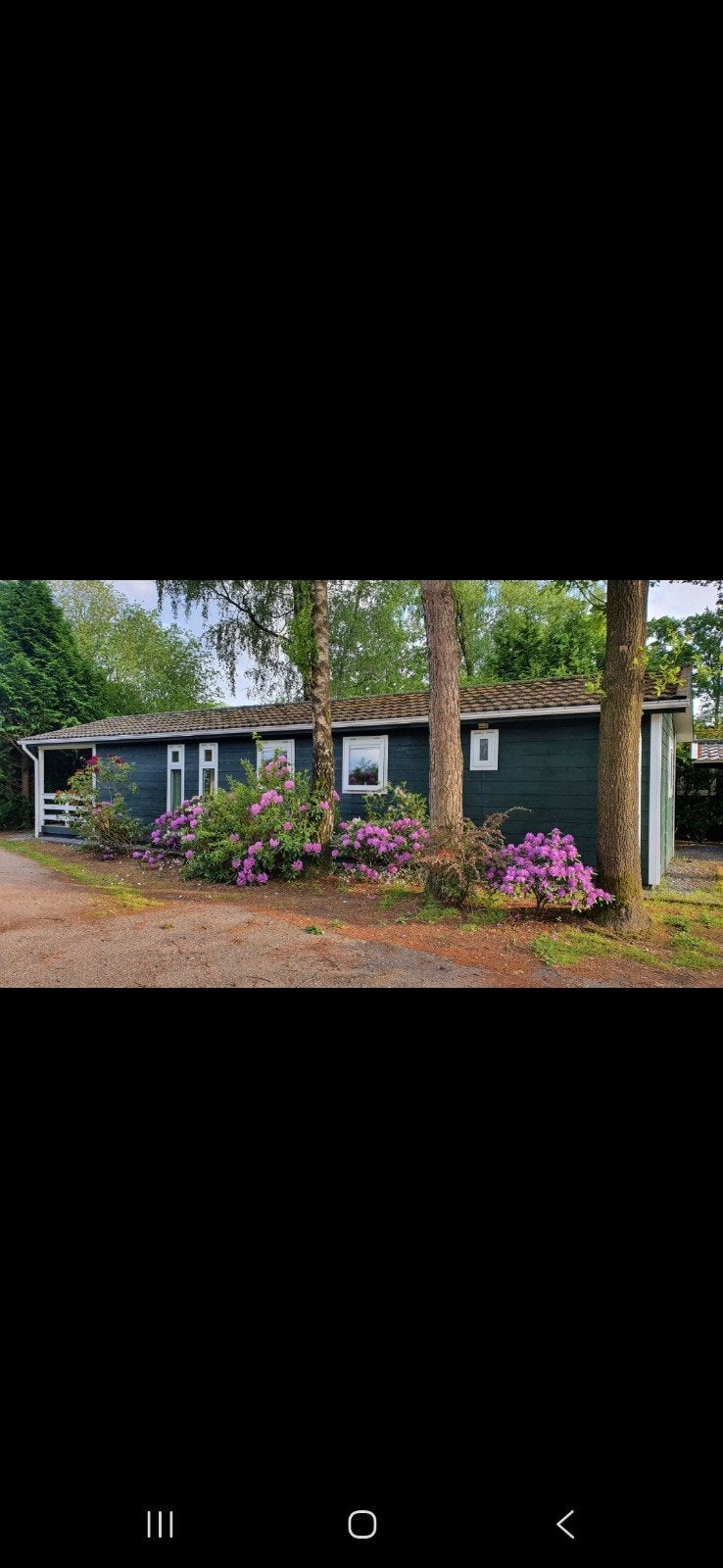 Recreatiewoning op eigen grond – De IJsvogel, Voorthuizen, Huizen en Kamers, Gelderland, Chalet, 50 m², 3 slaapkamers