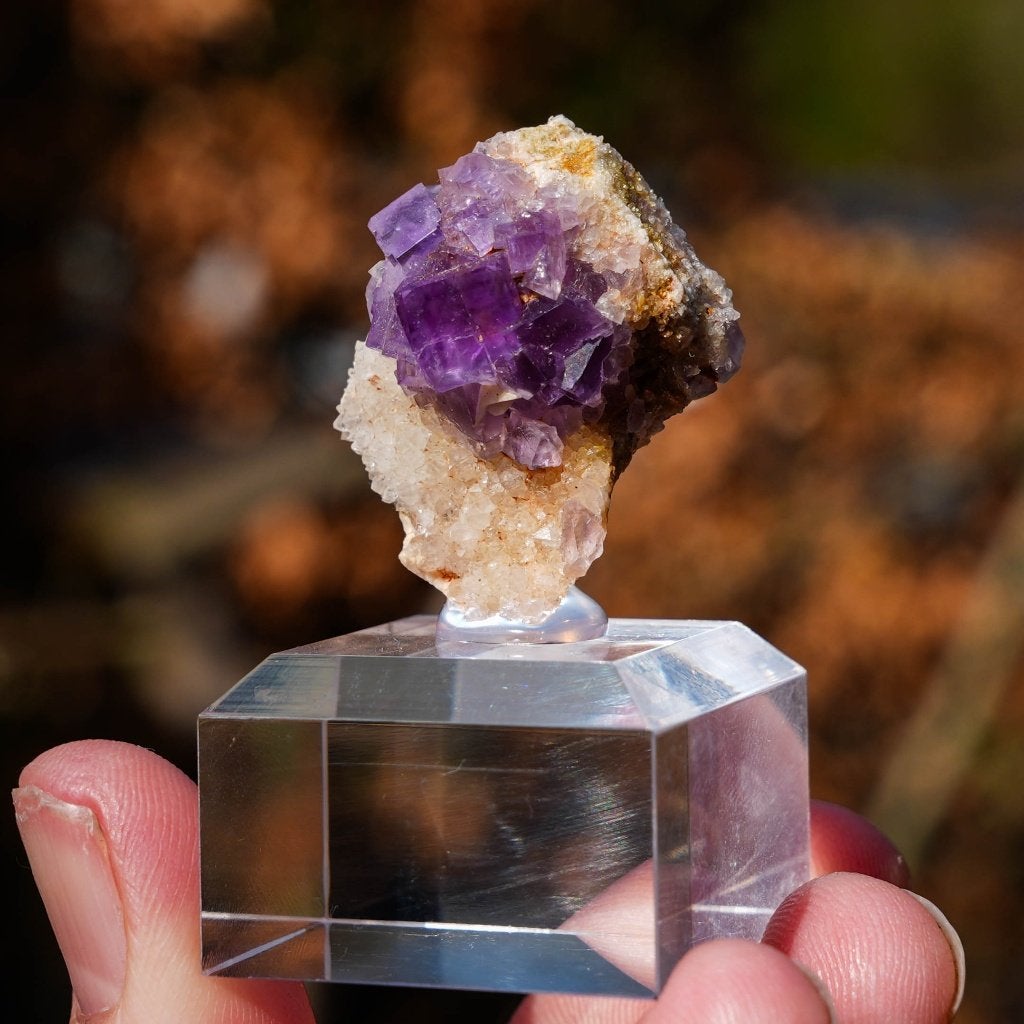 Fluoriet uit Berbes #6, Ophalen of Verzenden, Mineraal