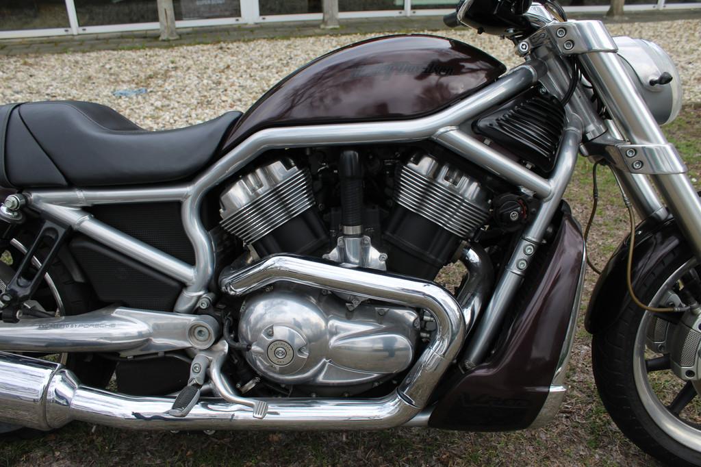 Harley-Davidson VRSC Street Rod VRSCR, Motoren, Motoren | Harley-Davidson, Bedrijf, 1130 cc, Meer dan 35 kW, Overig